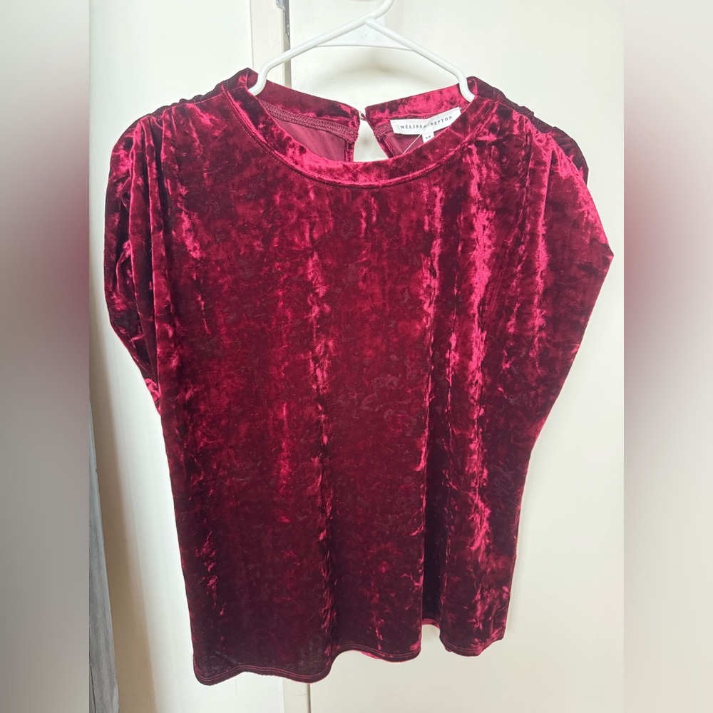 Evereve Burgundy Velvet Blouse